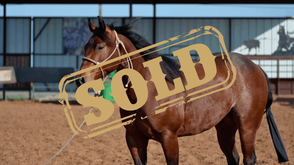 CODY OHL - SOLD (1)